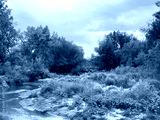 preview cold