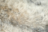 preview original