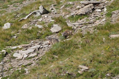 image to crop