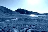 preview cold