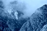 preview cold