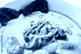 preview cold