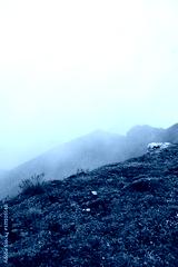 preview cold