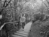 preview bw