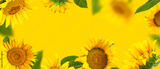 preview original