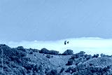 preview cold