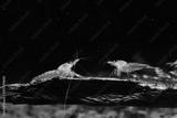 preview bw