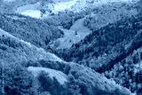 preview cold