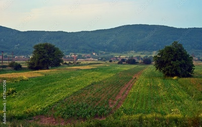 image to crop