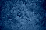 preview cold