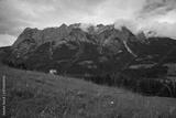 preview bw