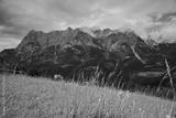 preview bw