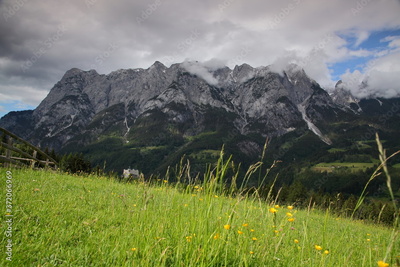image to crop