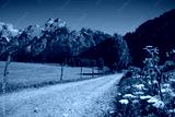 preview cold
