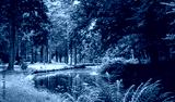 preview cold