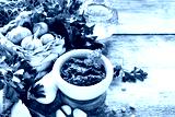 preview cold