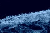 preview cold