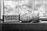 preview bw