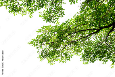 image to crop