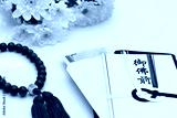 preview cold