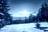 preview cold