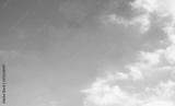 preview bw