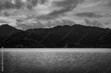 preview bw
