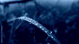 preview cold