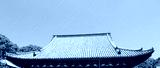 preview cold