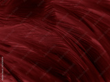 preview original