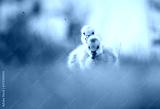 preview cold