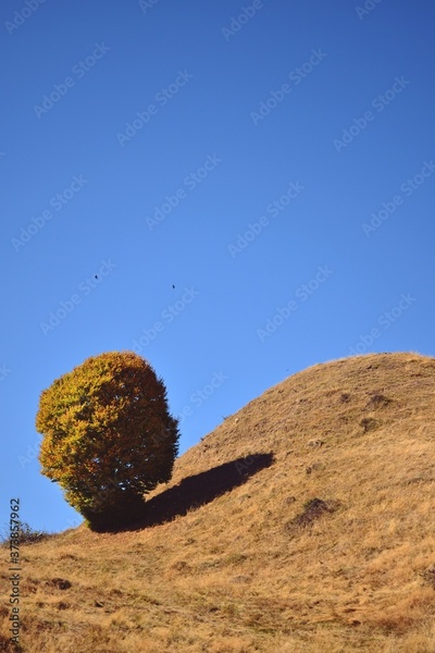 image to crop