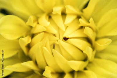 image to crop
