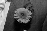 preview bw