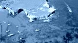 preview cold