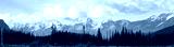 preview cold
