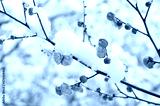 preview cold