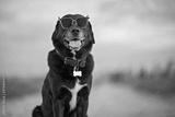 preview bw