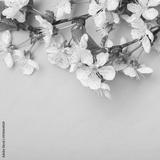 preview bw