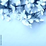 preview cold