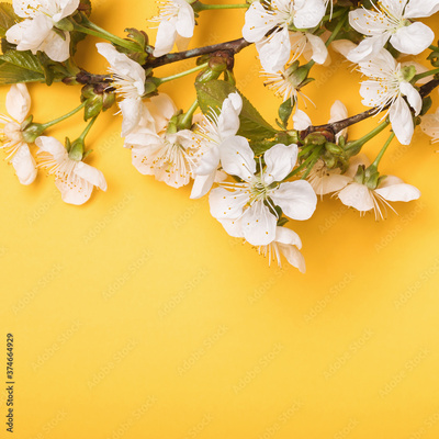 image to crop