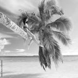 preview bw