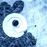 preview cold