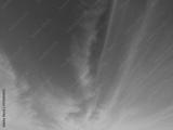 preview bw