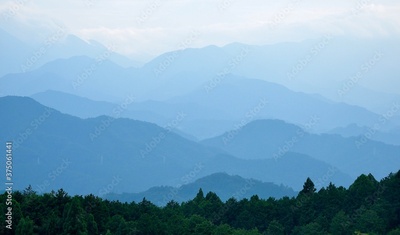 image to crop
