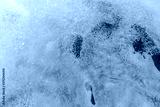 preview cold