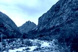 preview cold