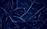 preview cold