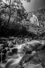 preview bw