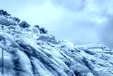 preview cold
